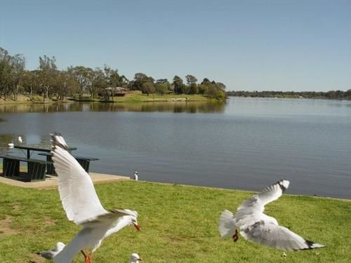 Centretown Motel Nagambie Luaran gambar